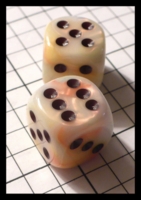 Dice : Dice - 6D Pipped - Chessex Festival Circus Pipped - FA collection buy Dec 2010
